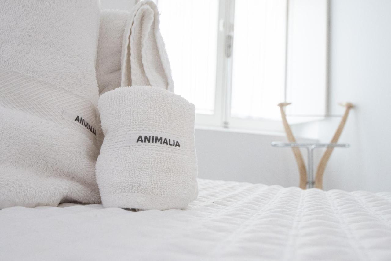 Apartamento Animalia Cadice Esterno foto