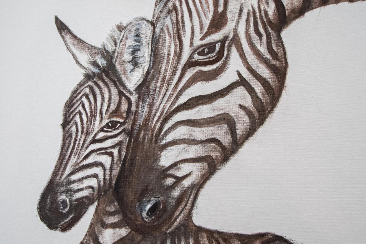 Apartamento Animalia Cadice Esterno foto